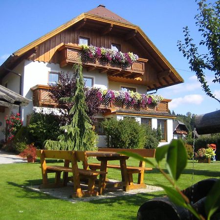 Ferienwohnungen Schwalbennest Mauterndorf (Salzburg) Exterior foto